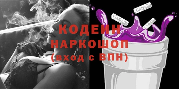 стафф Гусев