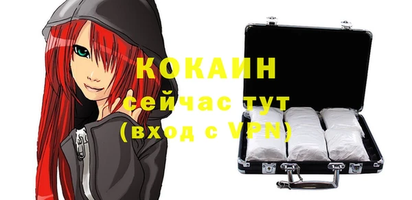 стафф Гусев