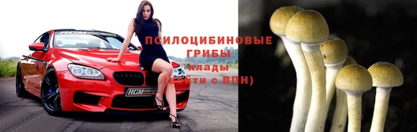 круглые Гусиноозёрск
