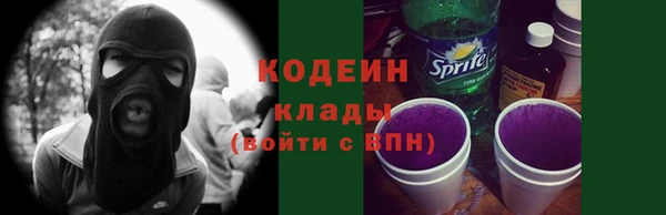 стафф Гусев