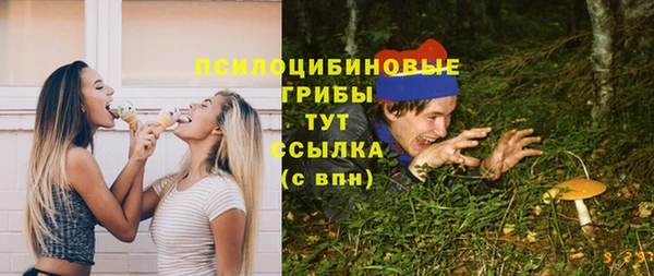 стафф Гусев