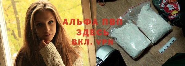 стафф Гусев